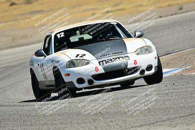 media/May-24-2025-Turn8 Trackdays (Sat) [[034586b55d]]/3 Inter 3/Session 2 (Cotton Corners-Grapevine)/
